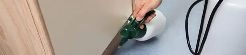 Bed bug exterminator treating baseboards and cracks with targeted spray in Cincinnati, OH