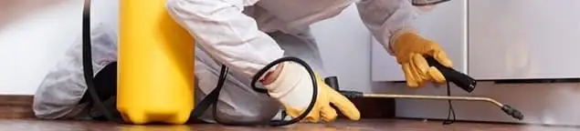 Roach exterminator treating cracks and crevices along kitchen baseboards in Cincinnati, OH