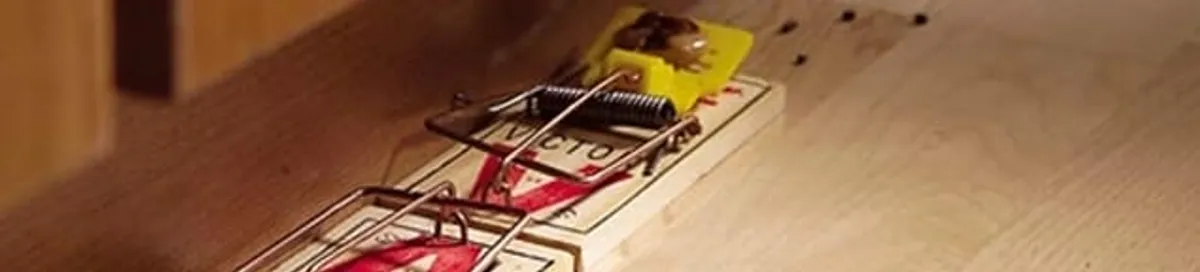Rodent trap set indoors for rodent control and prevention in Cincinnati, OH