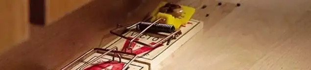 Rodent trap set indoors for rodent control and prevention in Cincinnati, OH