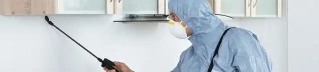 Termite treatment technician applying indoor pest control spray in Cincinnati, OH